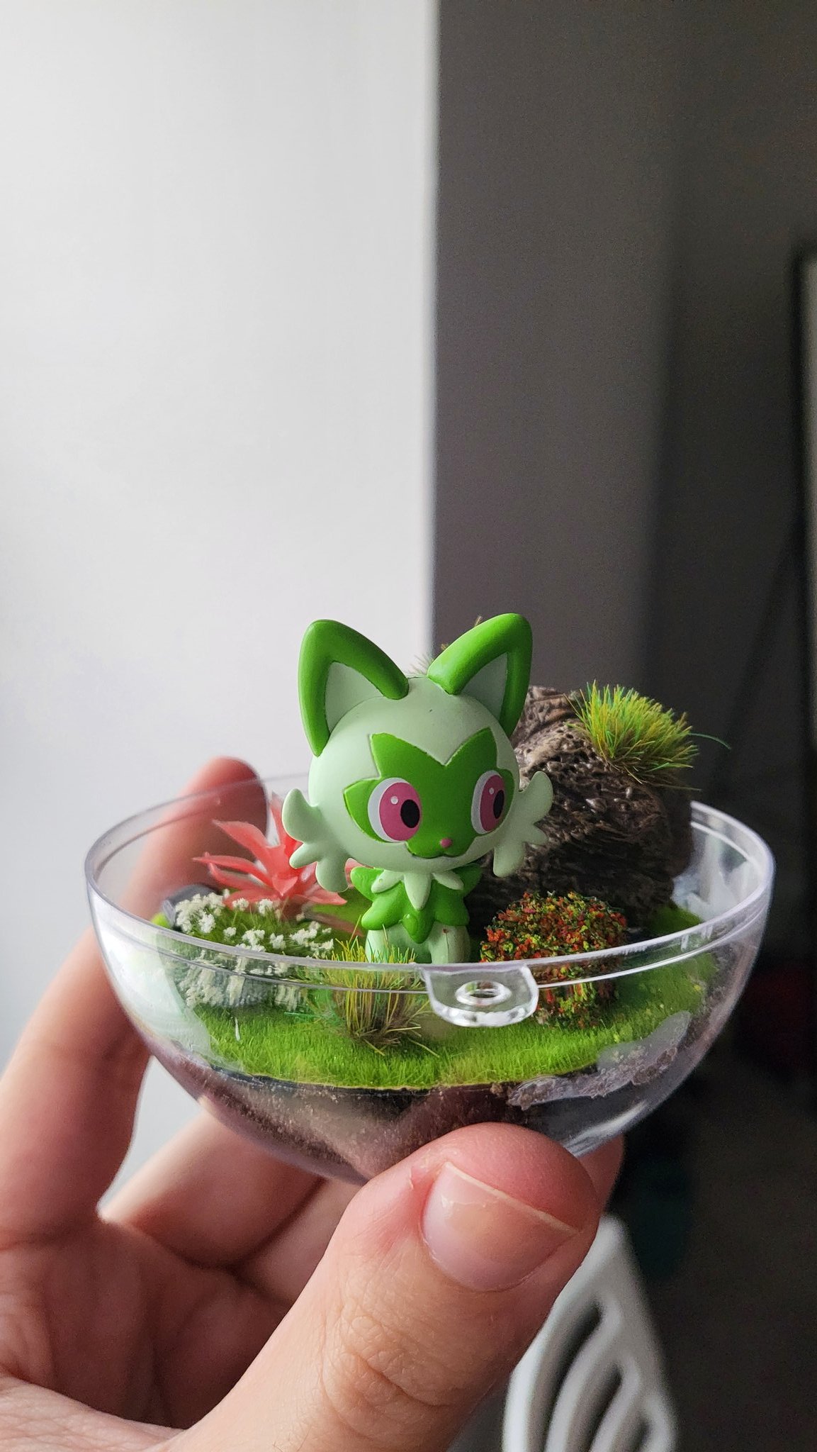 Hero in a halfshell